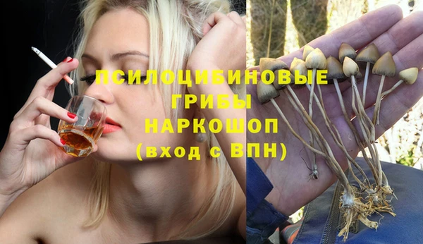первитин Алексин