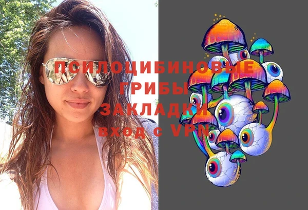 метадон Алексеевка