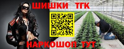 винт Тула