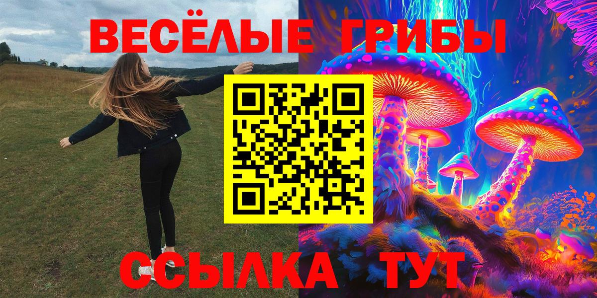 Галлюциногенные грибы Cubensis Орск