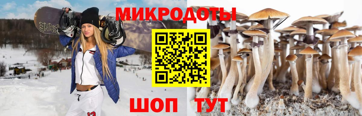 Псилоцибиновые грибы Cubensis  Псилоцибиновые грибы Psilocybe  Вход с VPN  Орск 